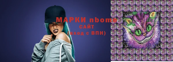 шишки Богородицк