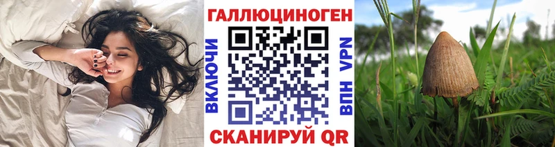 Псилоцибиновые грибы Psilocybe  hydra как зайти  Лодейное Поле 
